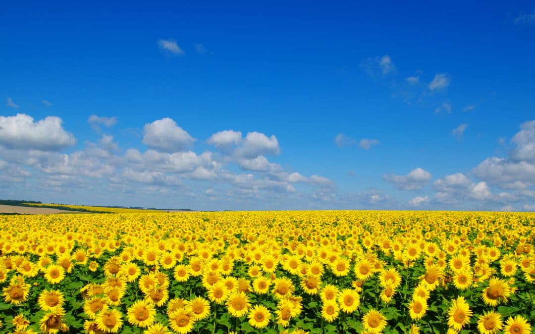 DIGITAL : 3 CONSEILS POUR BOOSTER VOTRE INSTITUT CET ÉTÉ