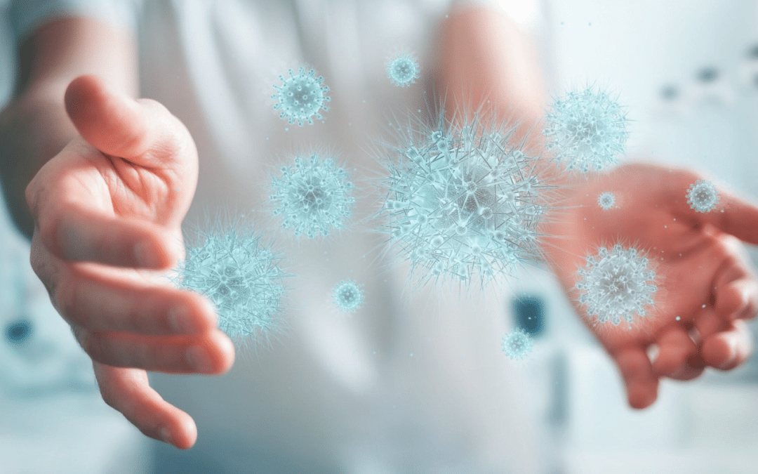 MICROBIOTE & CURES MINCEUR