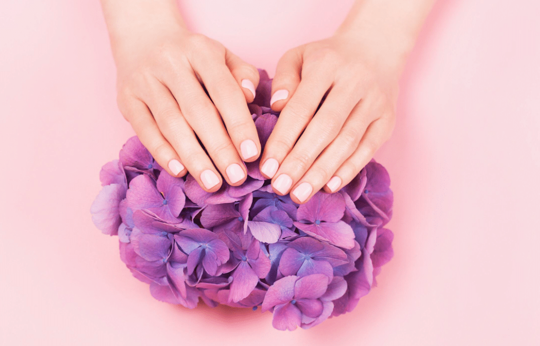 5 CHOSES À SAVOIR SUR LES PHANÈRES